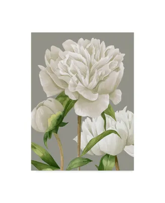 Grace Popp White Peonies Ii Canvas Art