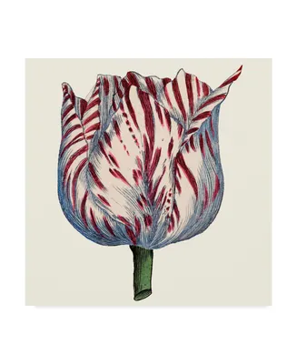 Vision Studio Tulip Garden Vi Canvas Art