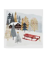 Victoria Borges Christmas Chalet Ii Canvas Art