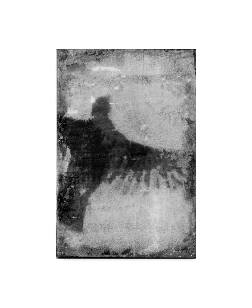 Ingrid Blixt B&W Flight Viii Canvas Art