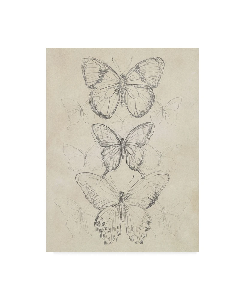 June Erica Vess Vintage Butterfly Sketch I Canvas Art - 20" x 25"