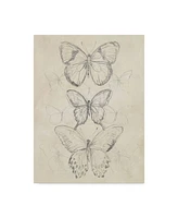 June Erica Vess Vintage Butterfly Sketch I Canvas Art - 20" x 25"