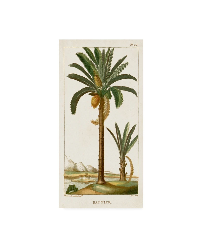 Turpin Turpin Exotic Palms Iv Canvas Art - 20" x 25"