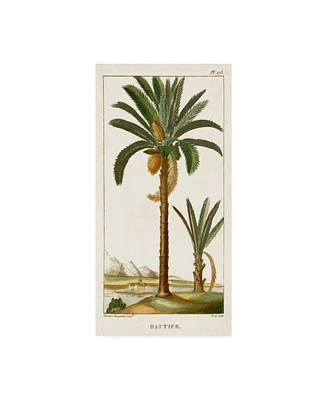 Turpin Turpin Exotic Palms Iv Canvas Art - 20" x 25"