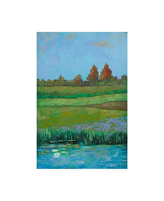 Mehmet Altug Impressionist Meadow Ii Canvas Art - 20" x 25"