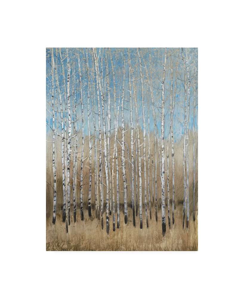 Tim Otoole Dusty Blue Birches I Canvas Art - 37" x 49"