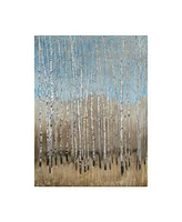 Tim Otoole Dusty Blue Birches I Canvas Art - 37" x 49"