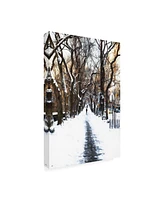 Philippe Hugonnard Snowy road Central Park Canvas Art - 27" x 33.5"