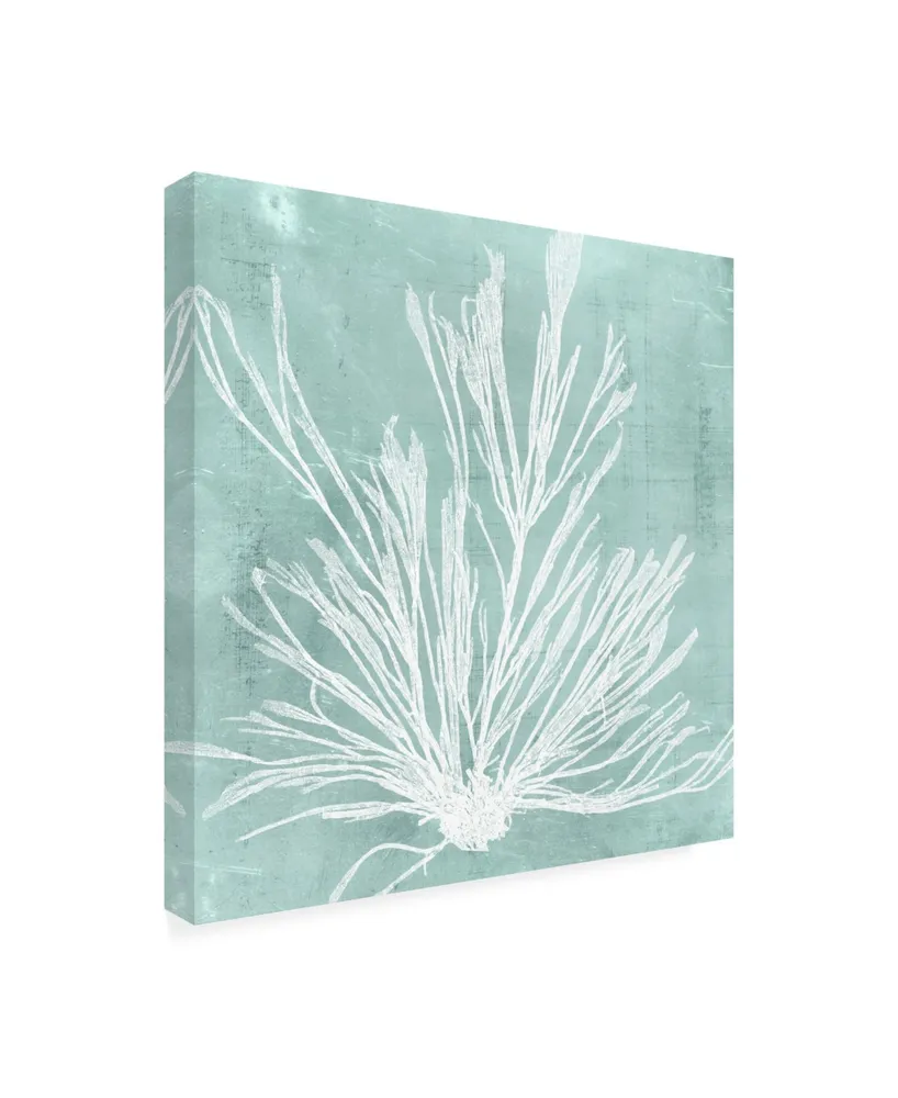 Vision Studio Seaweed on Aqua Ix Canvas Art