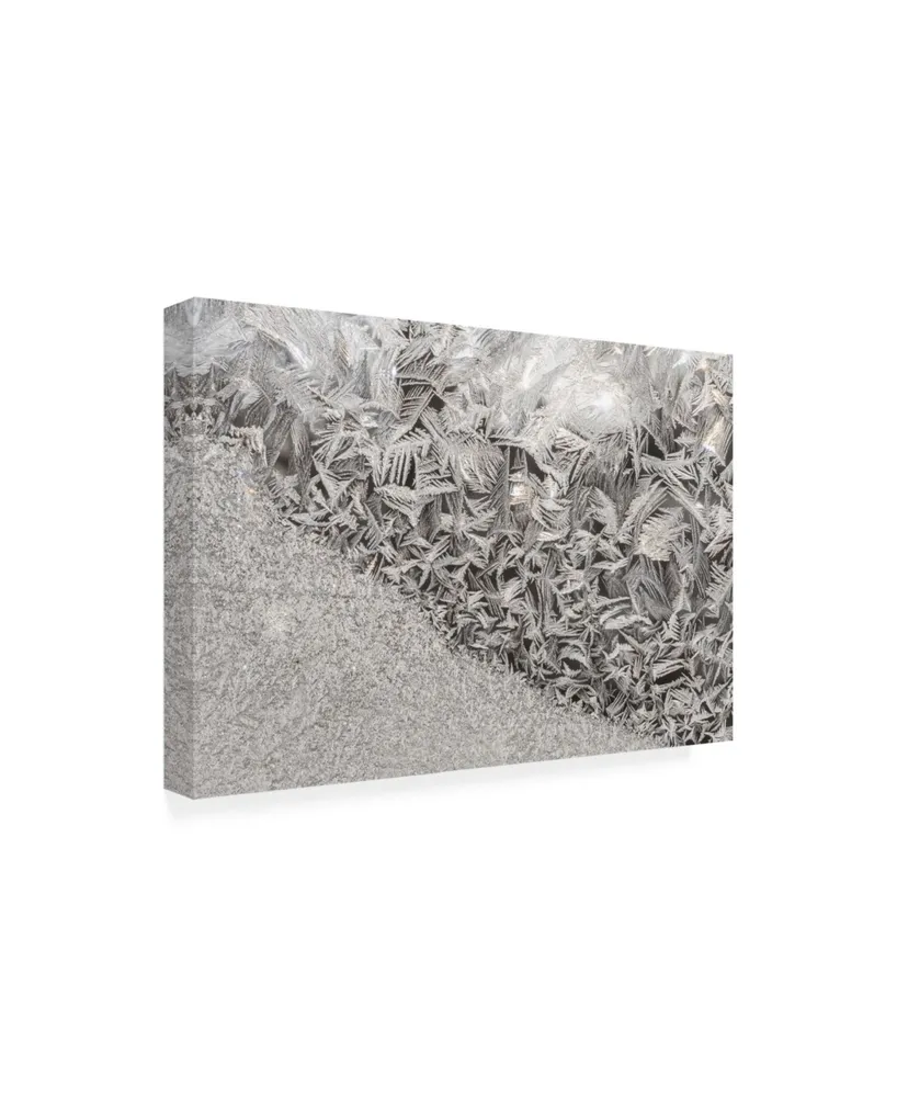 Kurt Shaffer Photographs Ice crystals in the sun Canvas Art