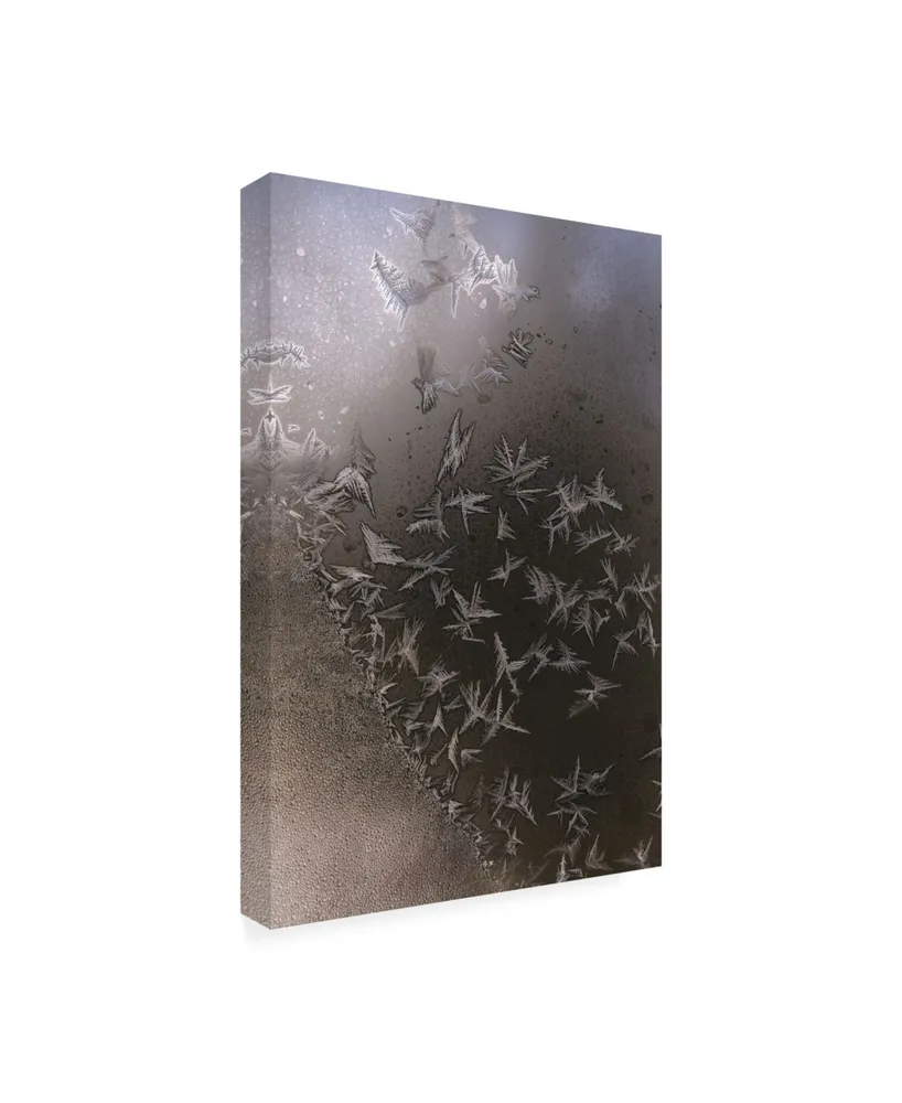 Kurt Shaffer Photographs Like a flock of ice crystal birds Canvas Art