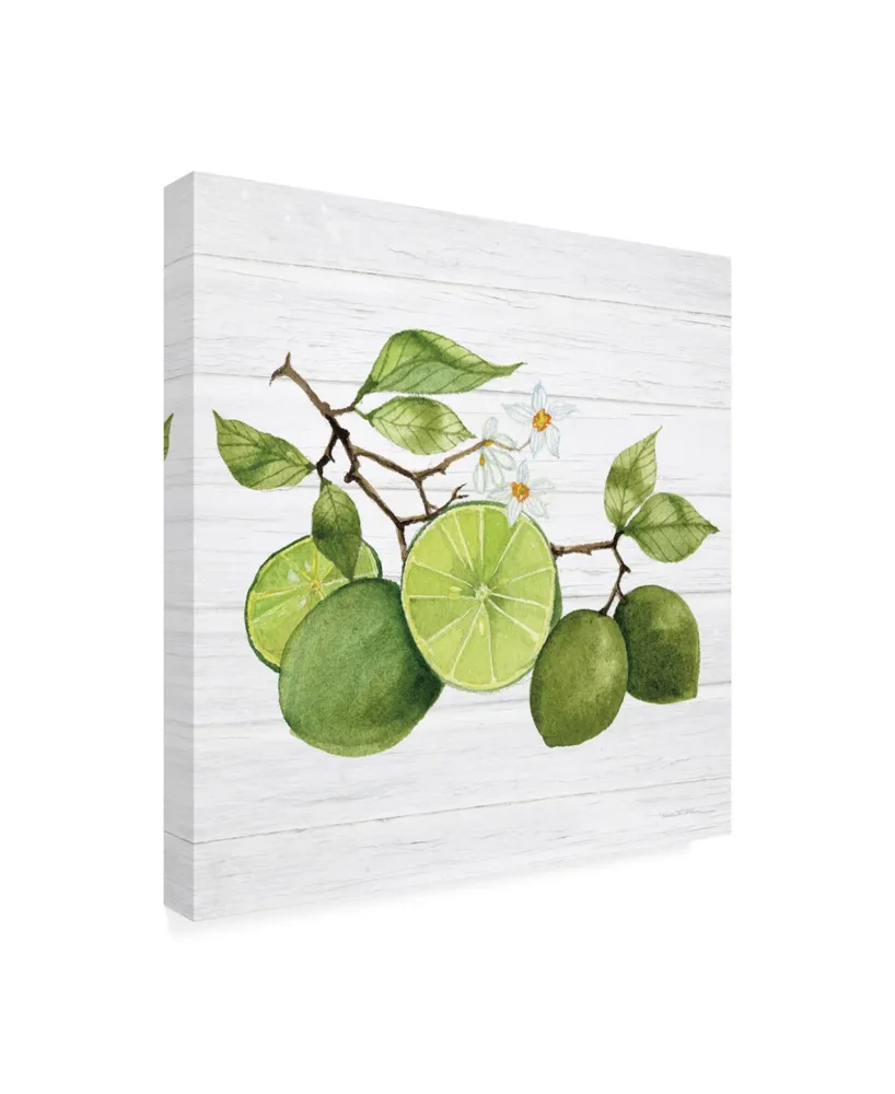 Kathleen Parr McKenna Citrus Garden Vii Shiplap Canvas Art