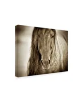 Lisa Dearin Mustang Sally Horse Canvas Art