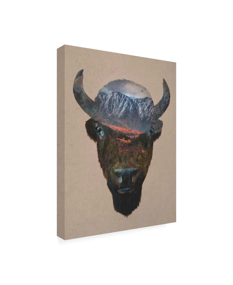 Davies Babies Bison Peak Canvas Art