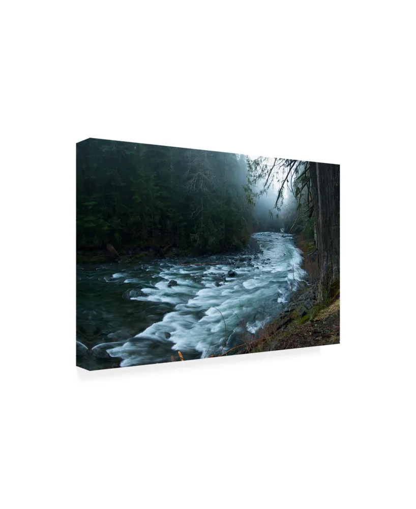 PhotoINC Studio River in the Forest Canvas Art