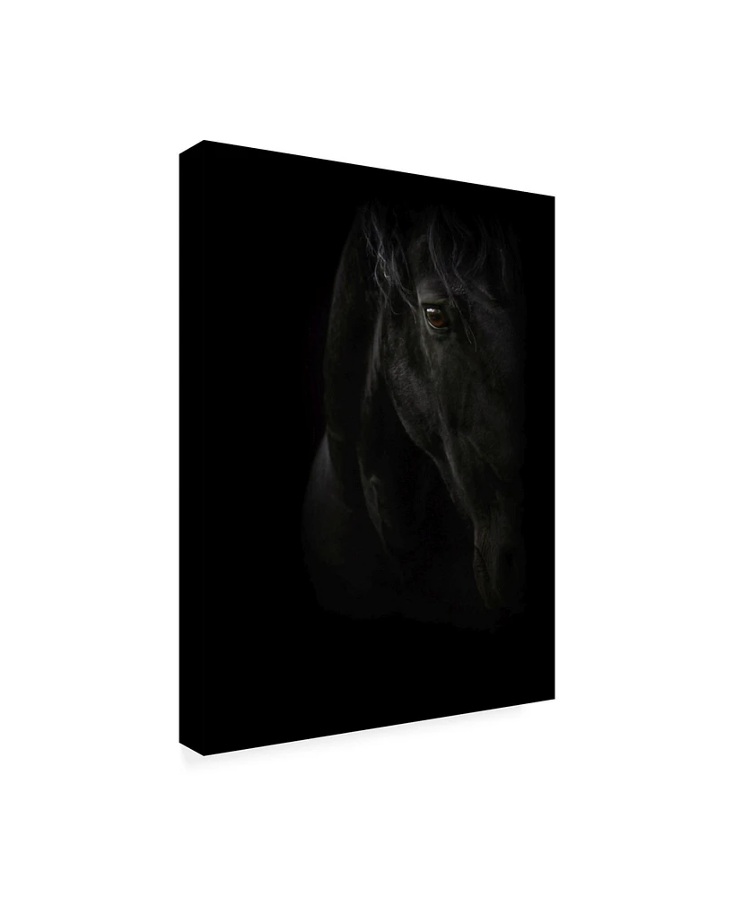 PhotoINC Studio Black Pearl Canvas Art - 19.5" x 26"