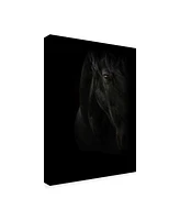 PhotoINC Studio Black Pearl Canvas Art - 19.5" x 26"