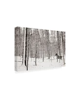 James Mcloughlin A Snowy Walk Ii Canvas Art - 20" x 25"