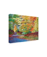 David Lloyd Glover Walking in Autumn Canvas Art - 15" x 20"