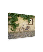 Monte Nagler Bicycle Turckheim France Color Canvas Art - 37" x 49"