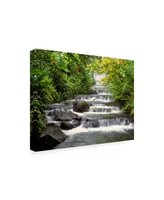 Monte Nagler Terraced Falls Canvas Art