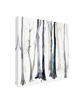 Grace Popp In the Forest Trees Ii Canvas Art - 20" x 25"