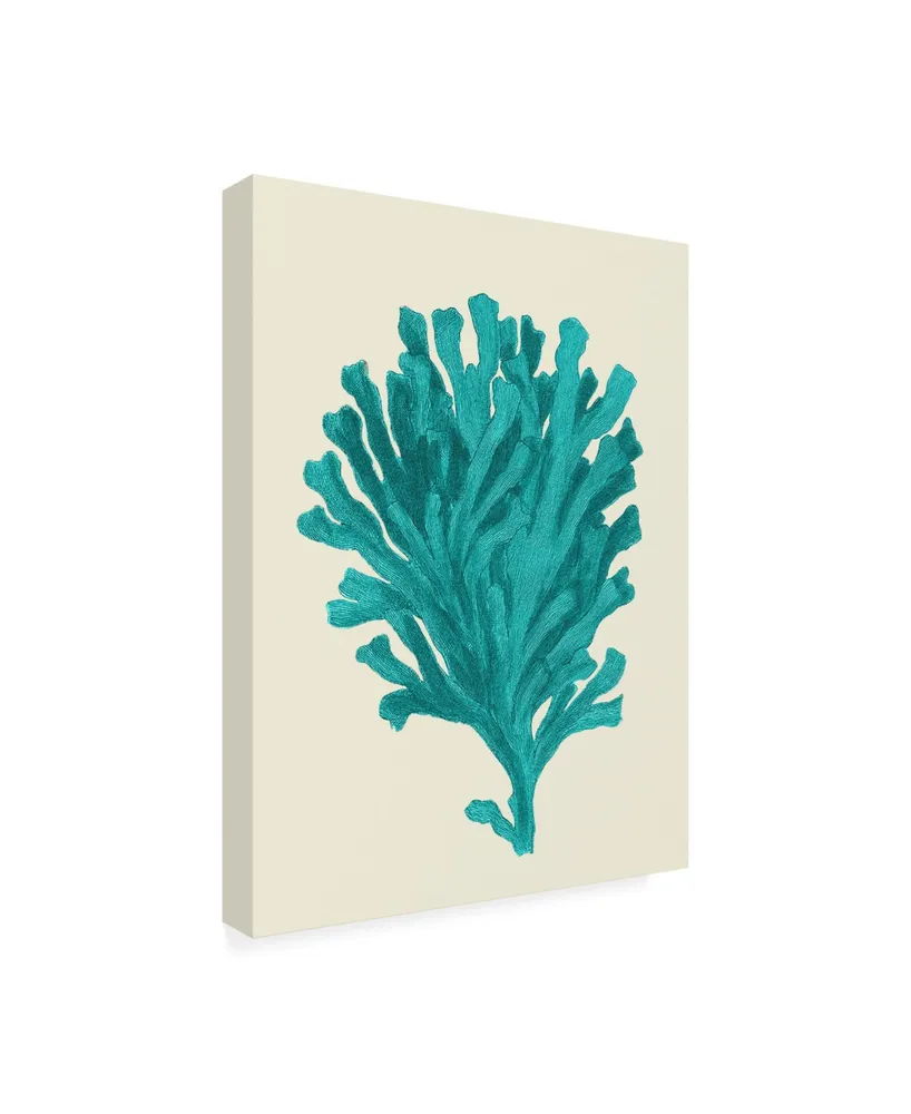 Fab Funky Corals Turquoise on Cream D Canvas Art - 27" x 33.5"
