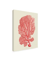 Fab Funky Red Corals 1 B Canvas Art - 19.5" x 26"