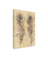 Albena Hristova Blue Eyed Feathers Canvas Art - 36.5" x 48"