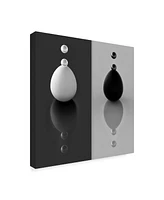 Antonyus Bunjamin Yin Yang Eggs Canvas Art - 20" x 25"