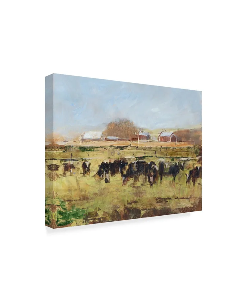 Ethan Harper Out to Pasture Ii Canvas Art - 37" x 49"