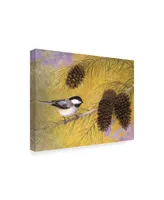 Marcia Matcham Chickadee in the Pines I Canvas Art - 15" x 20"