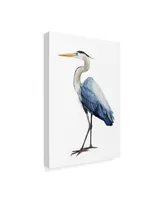 Grace Popp Seabird Heron I Canvas Art - 15" x 20"