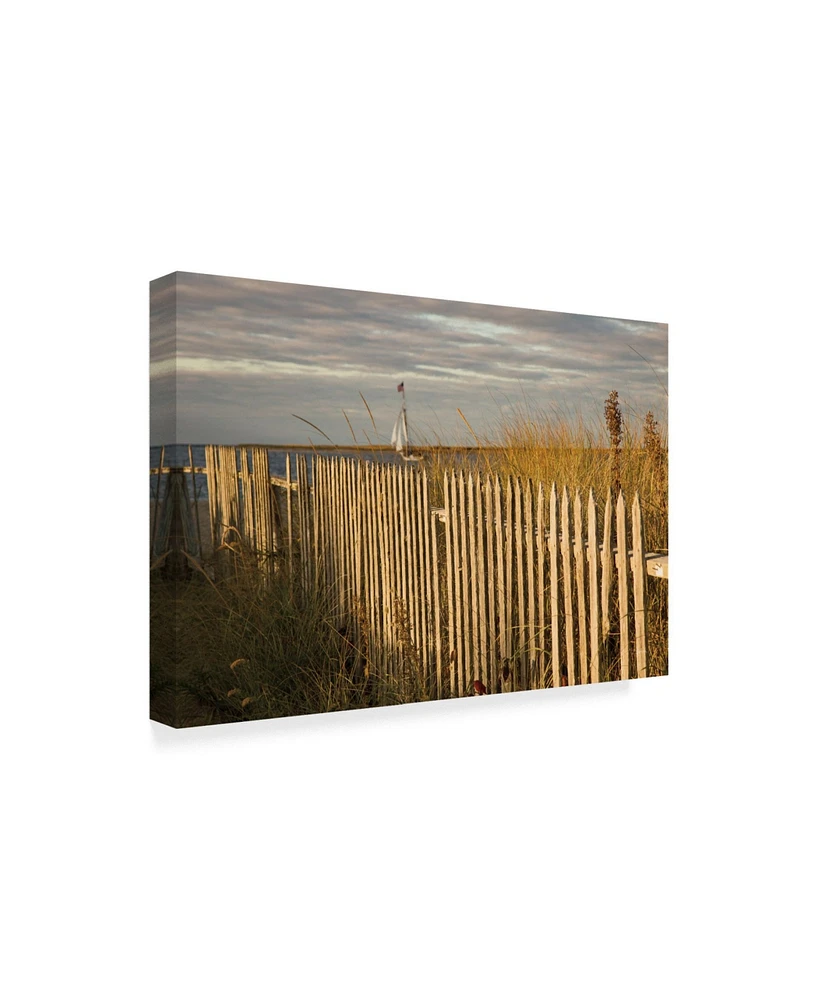 Aledanda Along the Beach Fence I Canvas Art - 20" x 25"