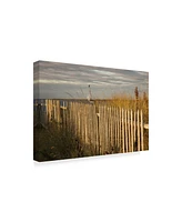 Aledanda Along the Beach Fence I Canvas Art - 20" x 25"