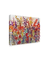 Tim Otoole Variety of Flowers Ii Canvas Art