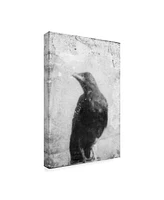 Ingrid Blixt B&W Flight Iii Canvas Art - 20" x 25"