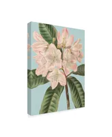 Vision Studio Fresh Florals Ii Canvas Art - 15" x 20"