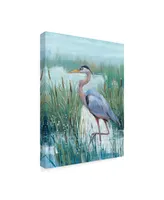 Tim Otoole Marsh Heron Ii Canvas Art