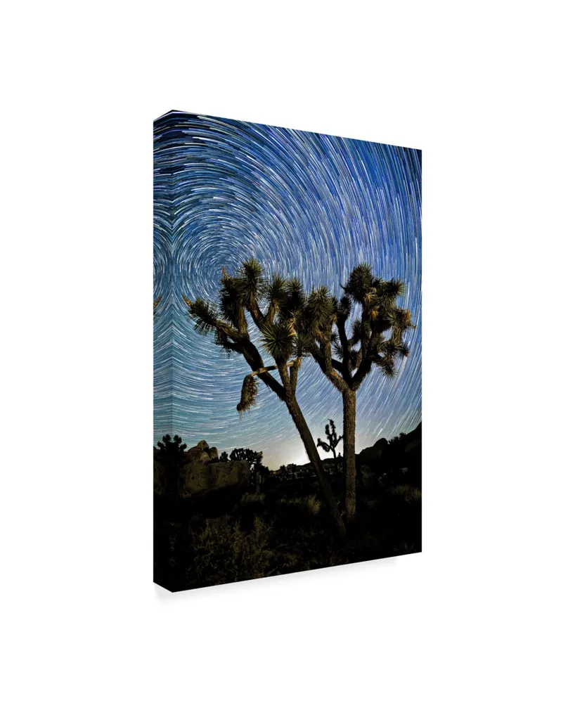 American School Joshua Tree Star Trails Canvas Art