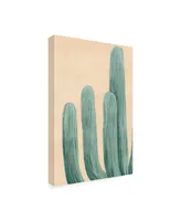 Grace Popp Dusty Cacti I Canvas Art