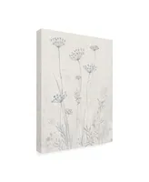 Tim Otoole Neutral Queen Anne's Lace Ii Canvas Art