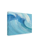 Albena Hristova Catch a Wave Canvas Art - 20" x 25"