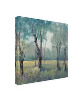 Tim Otoole Thin Morning Mist Canvas Art