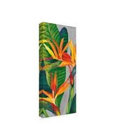 Tim Otoole Bird of Paradise Triptych Ii Canvas Art - 37" x 49"