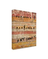 Irena Orlov Birds on Wood Ii Canvas Art - 15" x 20"