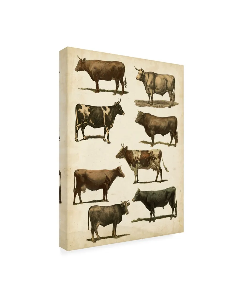 Vision Studio Antique Cow Chart Canvas Art