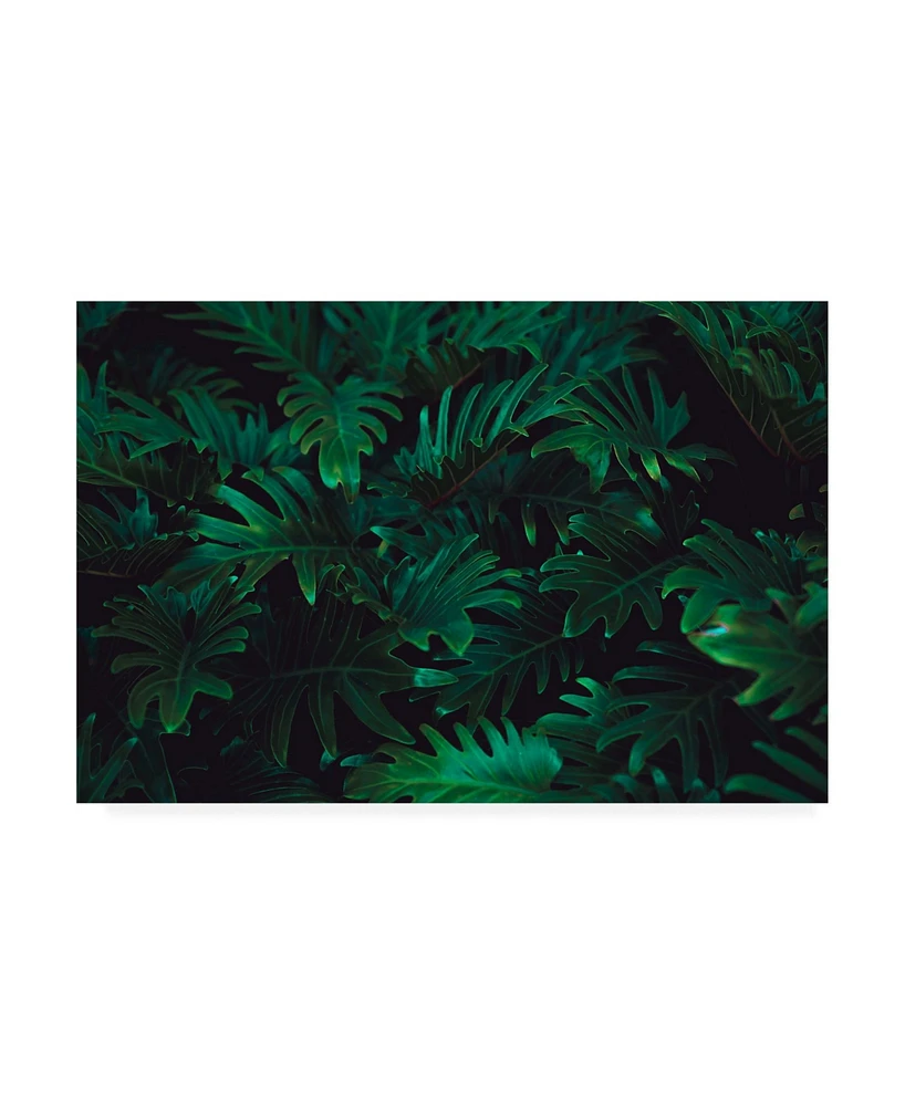 PhotoINC Studio Tropical Canvas Art