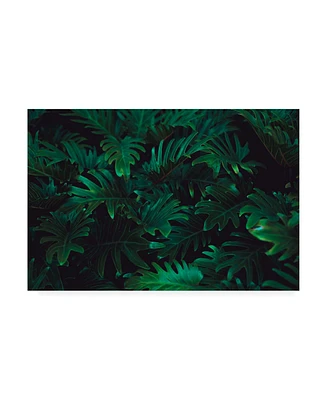 PhotoINC Studio Tropical Canvas Art