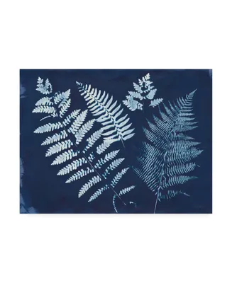 Piper Rhue Nature By the Lake - Ferns Ii Canvas Art